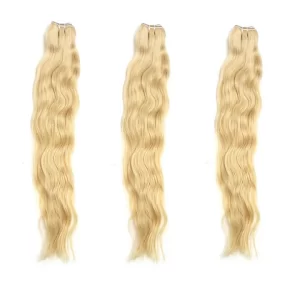 Luxury Raw Indian wavy Hair Bundle 613 Blonde lenght 20”20”20”